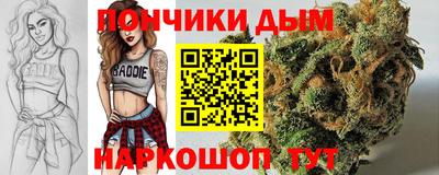 apvp Рузаевка