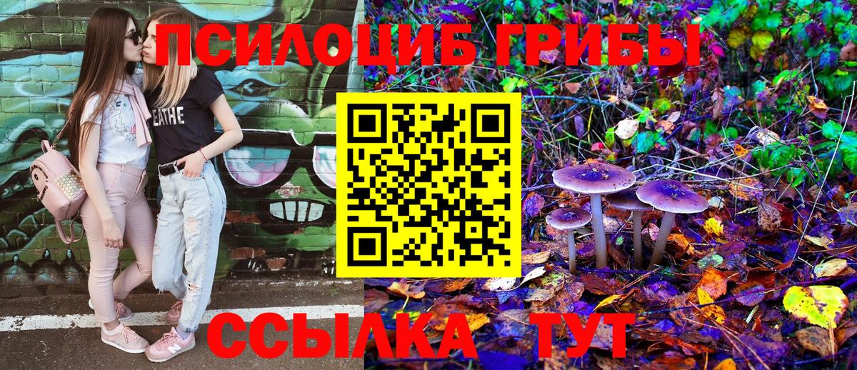 Псилоцибиновые грибы мицелий  Псилоцибиновые грибы Psilocybe  Вход с VPN  Алушта 